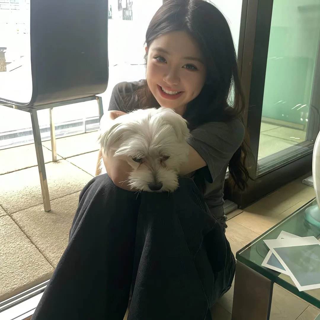 纸房子：全球热潮